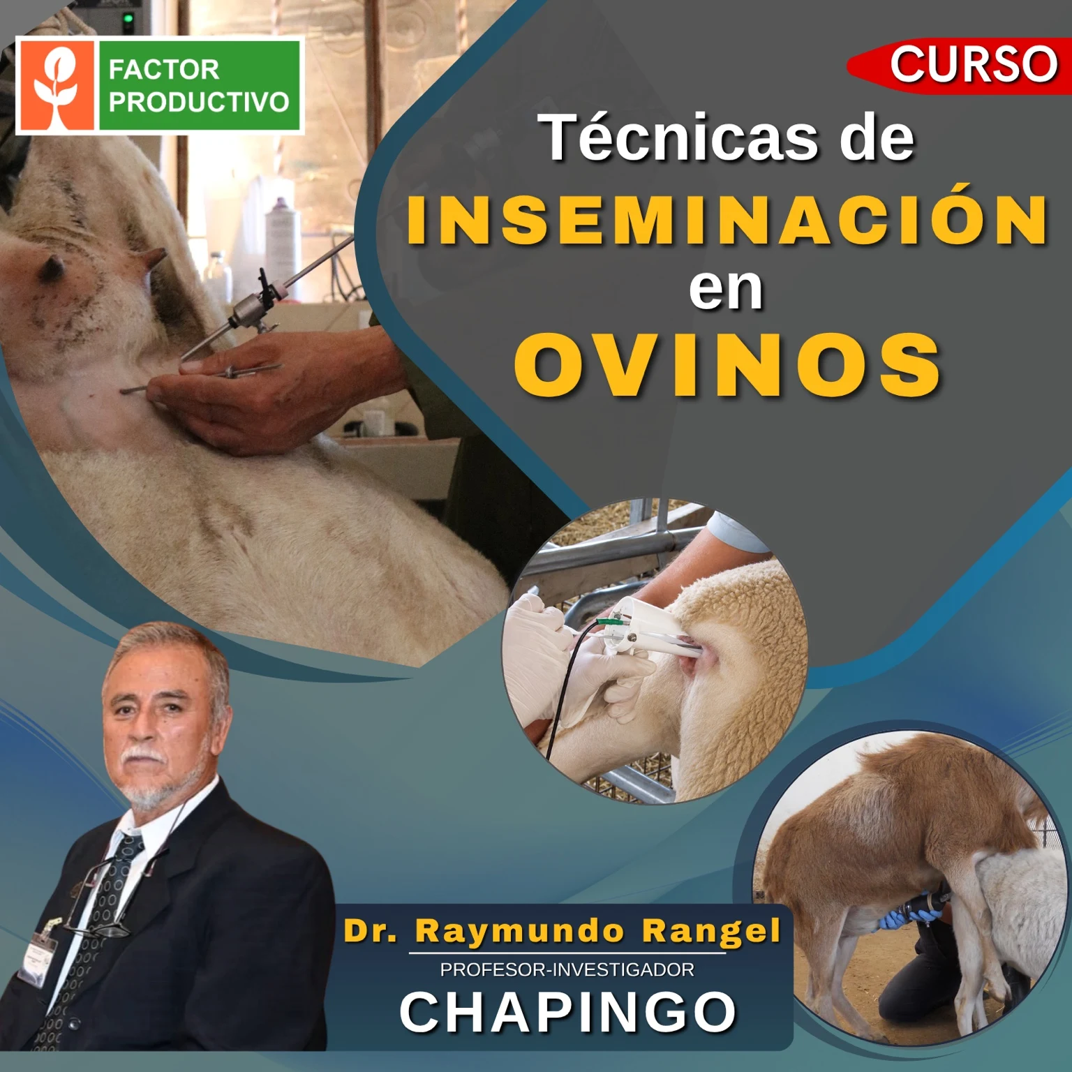 Flyer del curso Técnicas de Inseminación en Ovinos